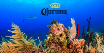 Corona відновлює коралові рифи на Багамах