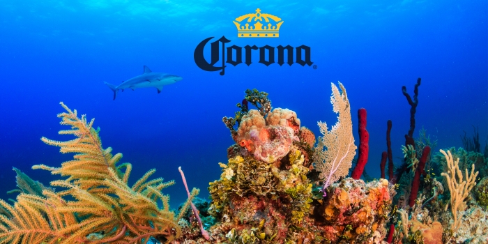 Corona відновлює коралові рифи на Багамах 