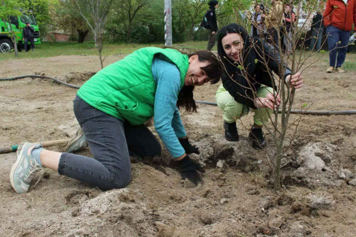 AB InBev Efes Ukraine підтримала міську екоакцію «Дерево – життя громади» в Миколаєві