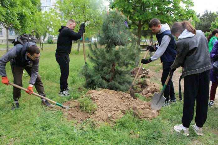 AB InBev Efes Ukraine підтримала міську екоакцію «Дерево – життя громади» в Миколаєві